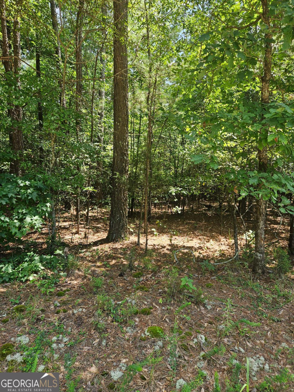 292 Mccannon RD TRACT 3A
