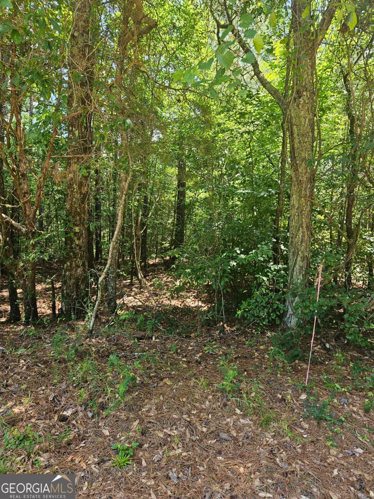 292 Mccannon RD TRACT 3A