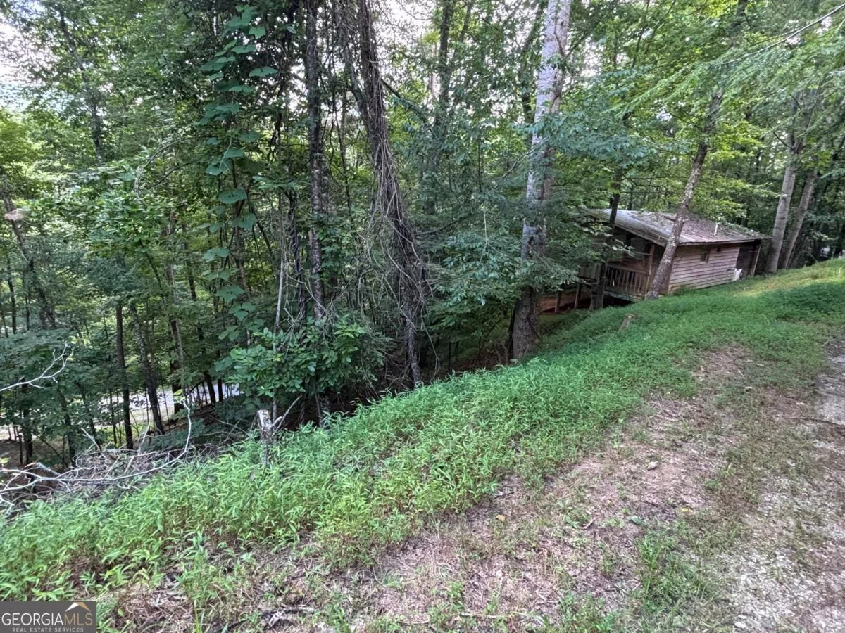 1163 Tipton Springs Road