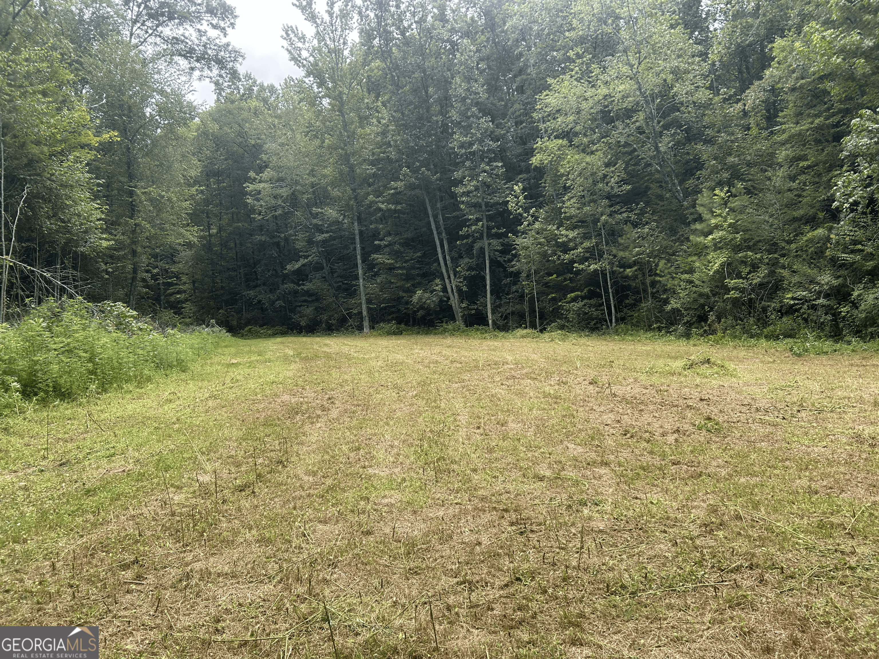 Located just 14 minutes from downtown Ellijay and 15 minutes from downtown Blue Ridge, this 13.84-acre tract offers the perfect blend of privacy, accessibility, and natural beauty. A gently sloping logging road leads deep into the property, providing easy access to the peaceful and secluded interior. Multiple ideal building sites are scattered throughout, offering flexibility to create your own mountain retreat. At the front of the property, you'll find a small open field, while the usable terrain continues along both sides of the logging road-perfect for additional structures or recreational use. A shared easement via a concrete driveway along the eastern boundary ensures easy access to the east side of the property, with the potential for separate private homesites. Price: $14,000 per acre Owner/Agent will consider subdividing 5+ acres Owner Financing Available for Well-Qualified Buyers Property is agent owned, please contact agent, and not the broker. Agent phone number is 706-701-0489