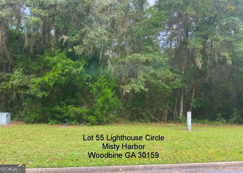 Photo of 55 Lighthouse Circle, Woodbine, GA 31569 (MLS # 10691978)