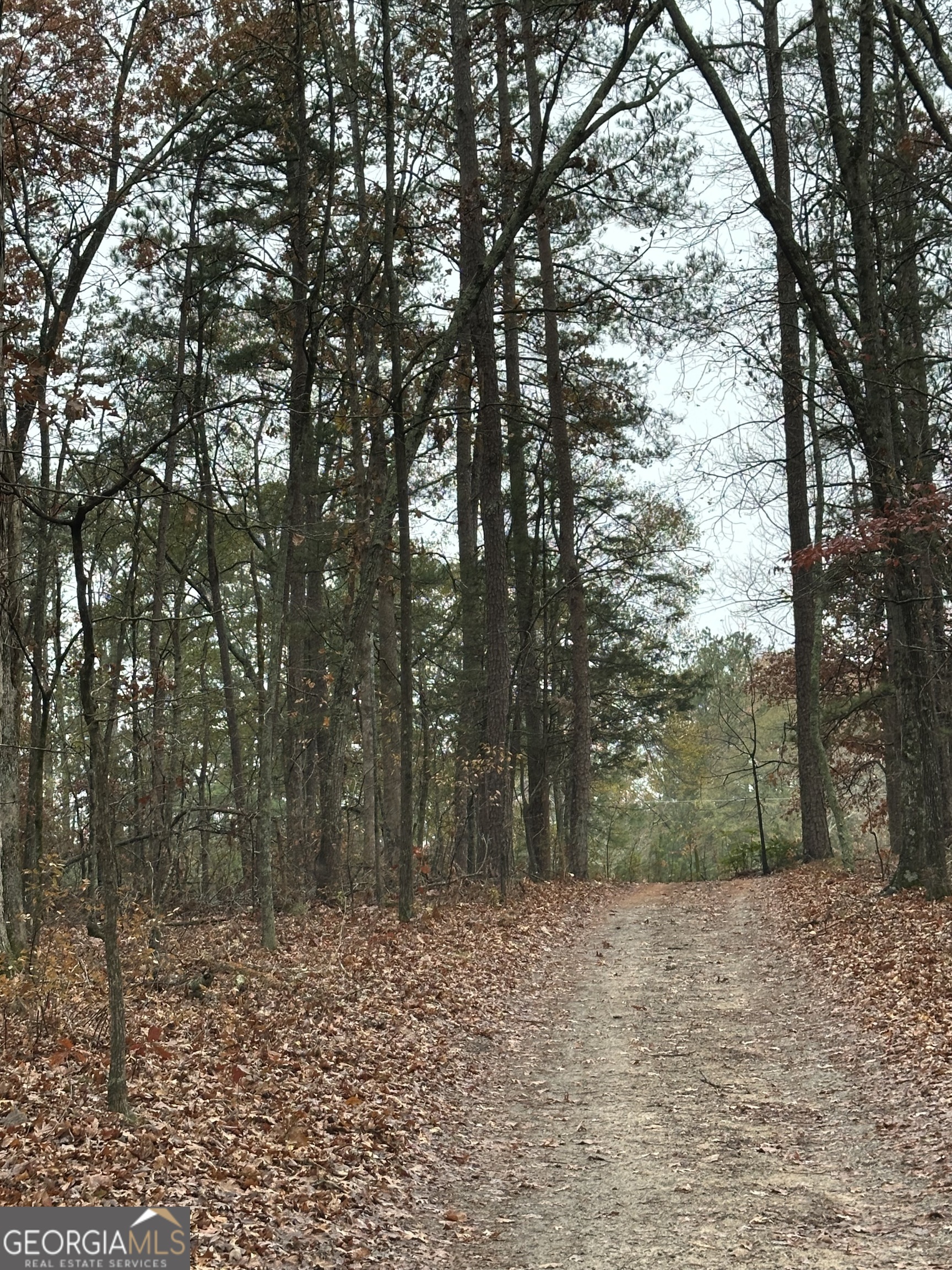 359 Cornish Mtn RD