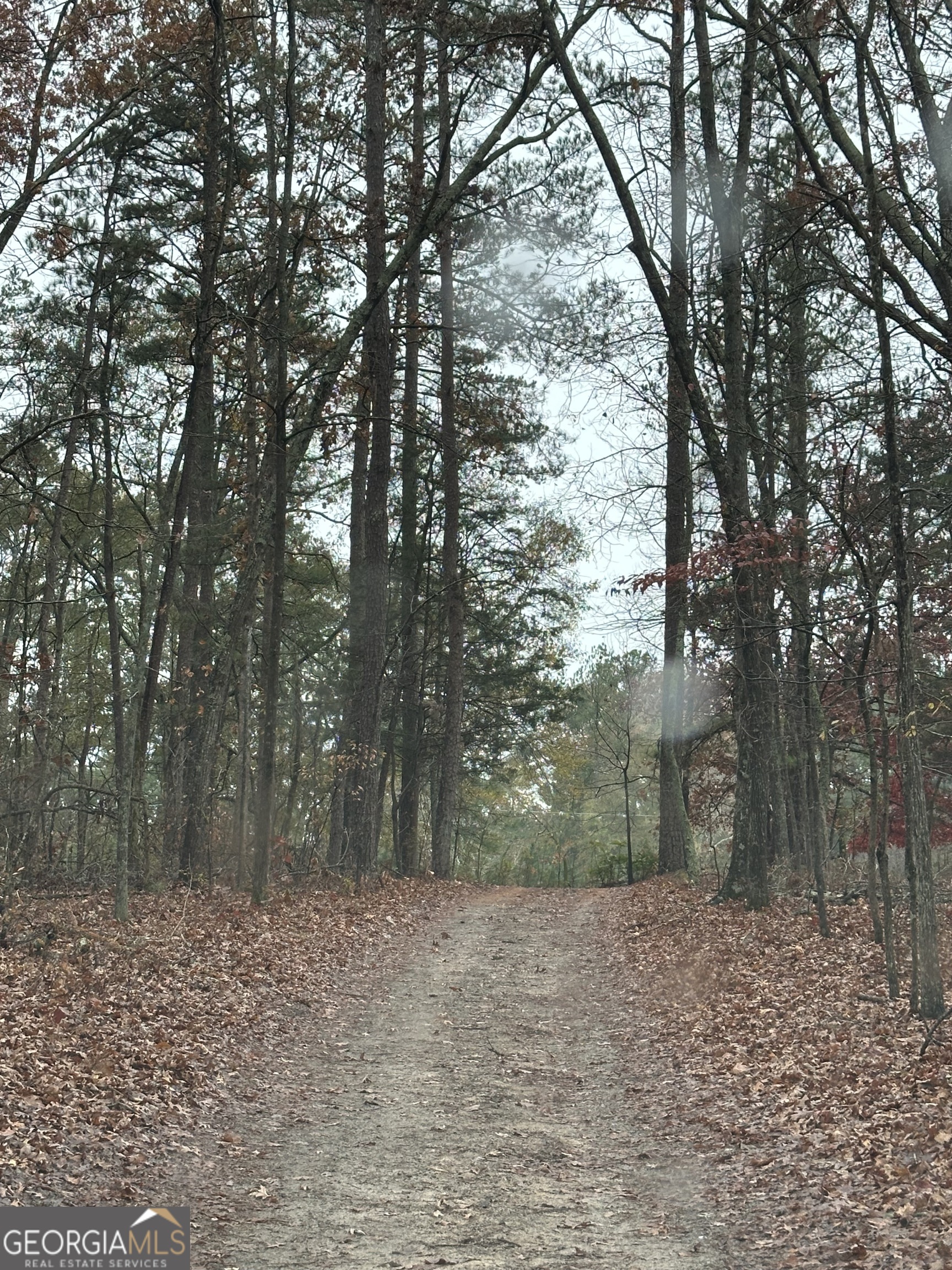 359 Cornish Mtn RD