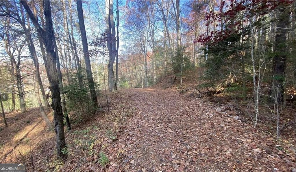Photo of 1 Barefoot Hills Road, Hiawassee, GA 30546 (MLS # 10699647)