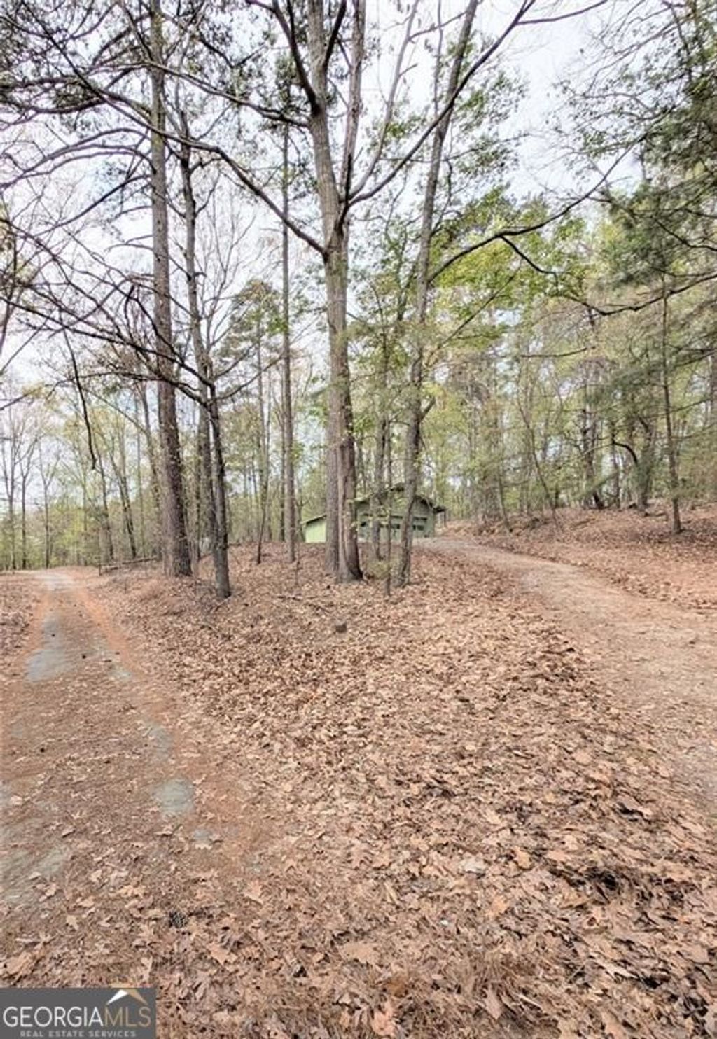 Photo of 0 Hayes Drive #LOT 1, Gainesville, GA 30506 (MLS # 10722275)