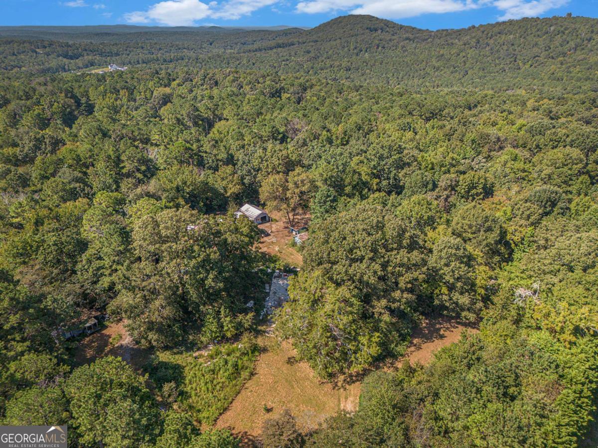 655 Hall Station RD