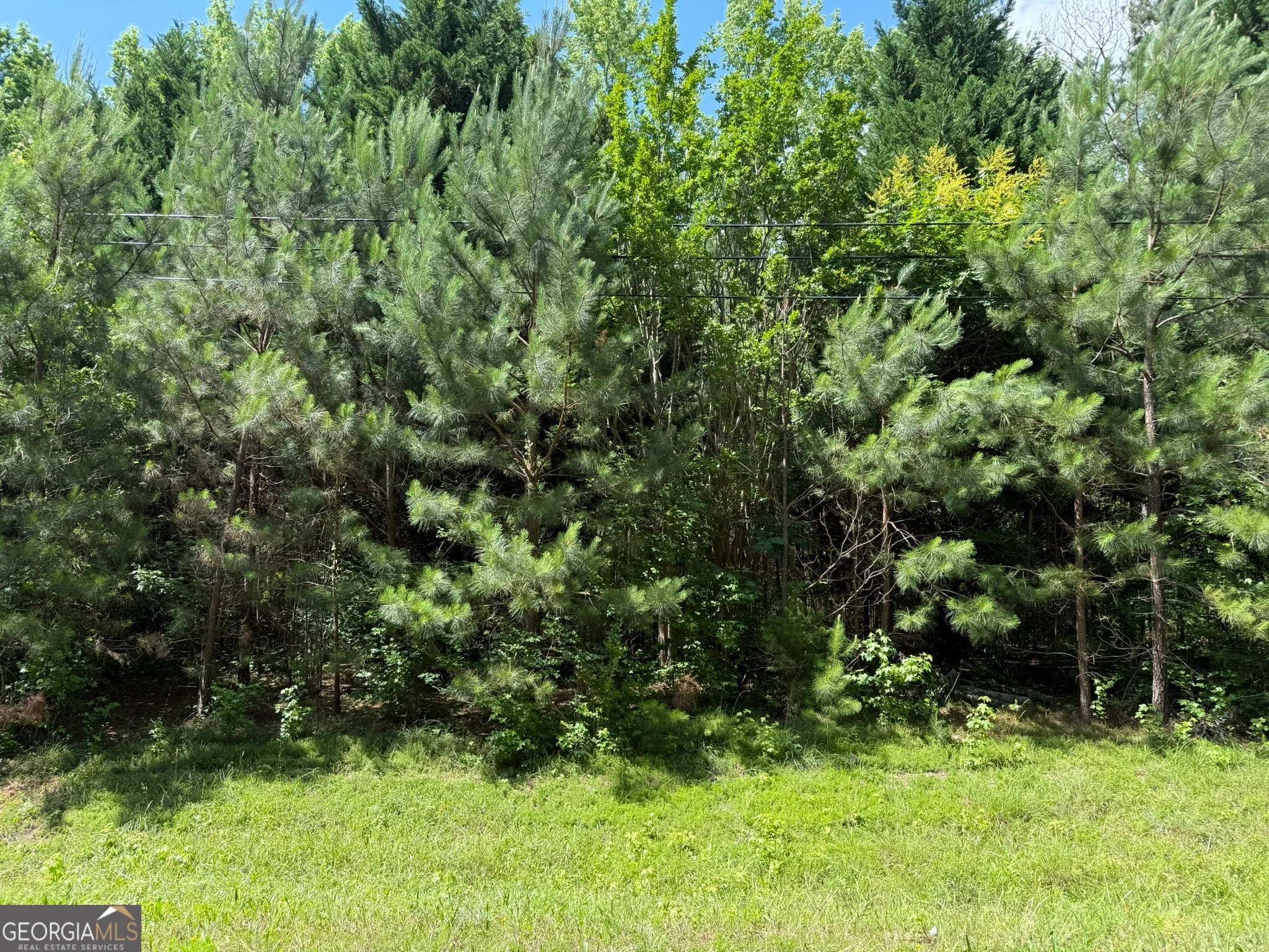 1425 River Road, Warm Springs, GA, 31830