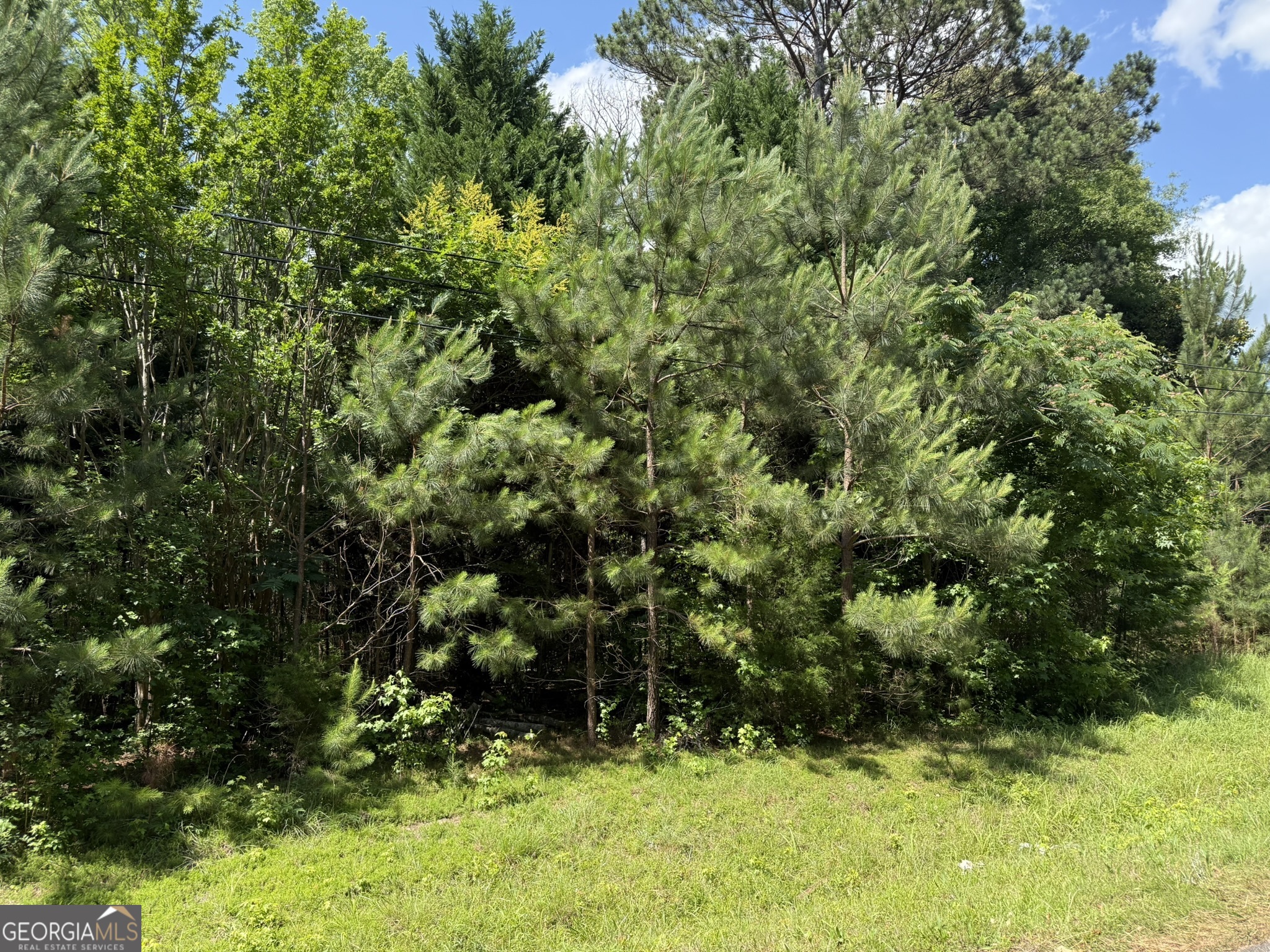 1425 River RD