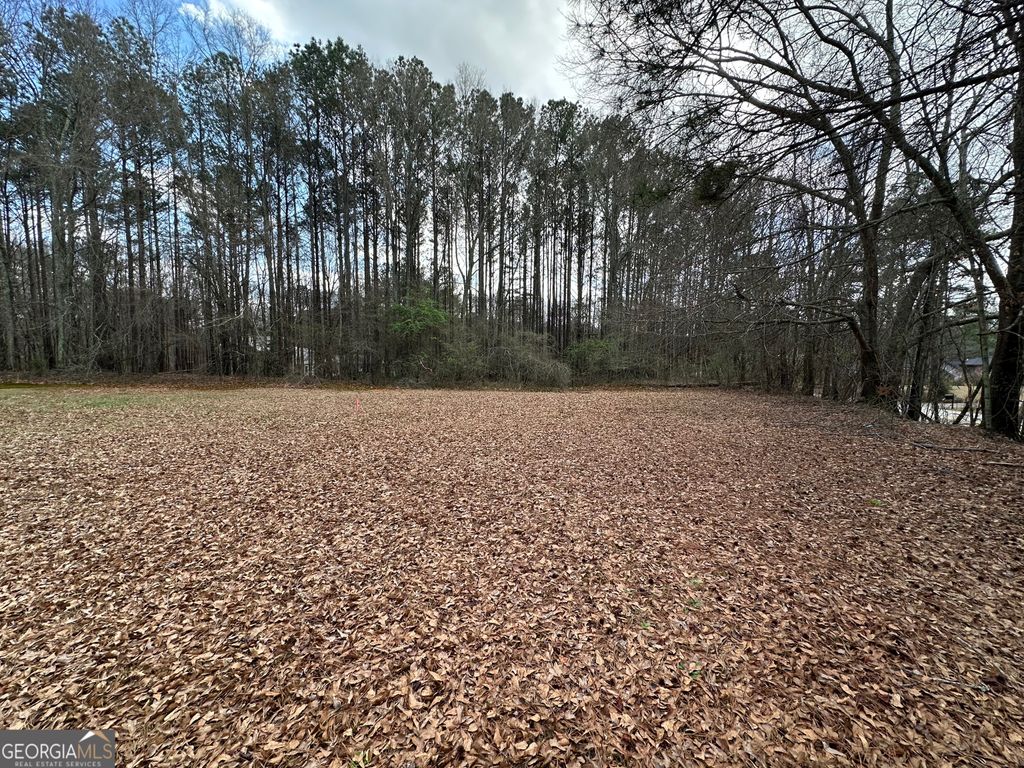 Photo of 0 Lower Jersey Road- 1.58 Acres, Oxford, GA 30054 (MLS # 10705943)
