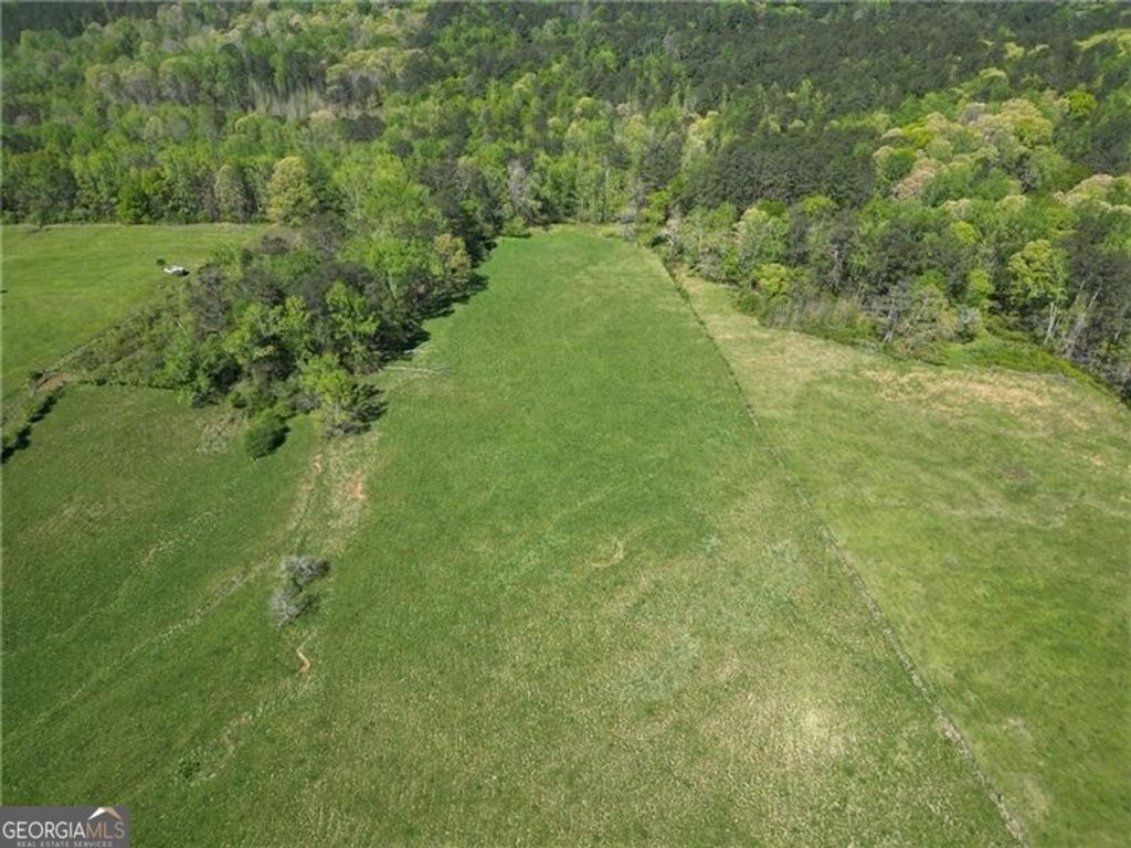 Photo of 8405 Hearn Road, Palmetto, GA 30268 (MLS # 10679415)