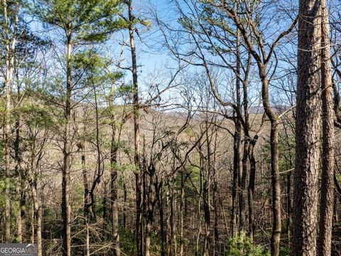 A home in Ellijay