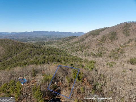 A home in Ellijay