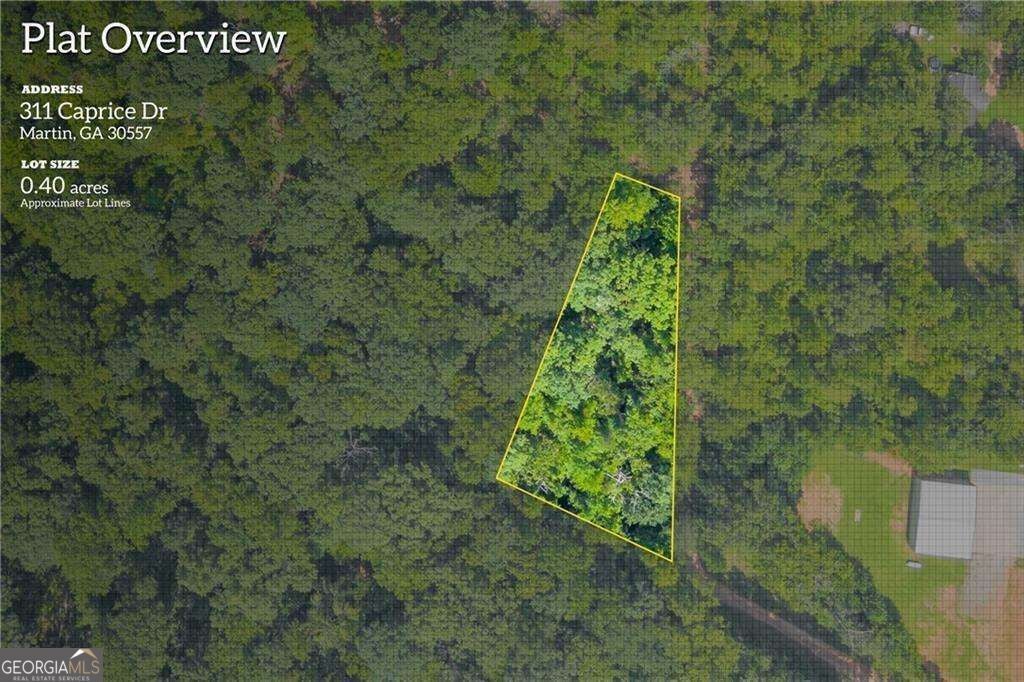 Photo of 311 Caprice Drive, Martin, GA 30557 (MLS # 10847371)