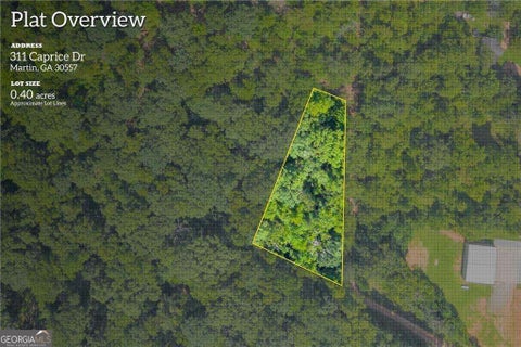 Photo of 311 Caprice Drive, Martin, GA 30557 (MLS # 10847371)