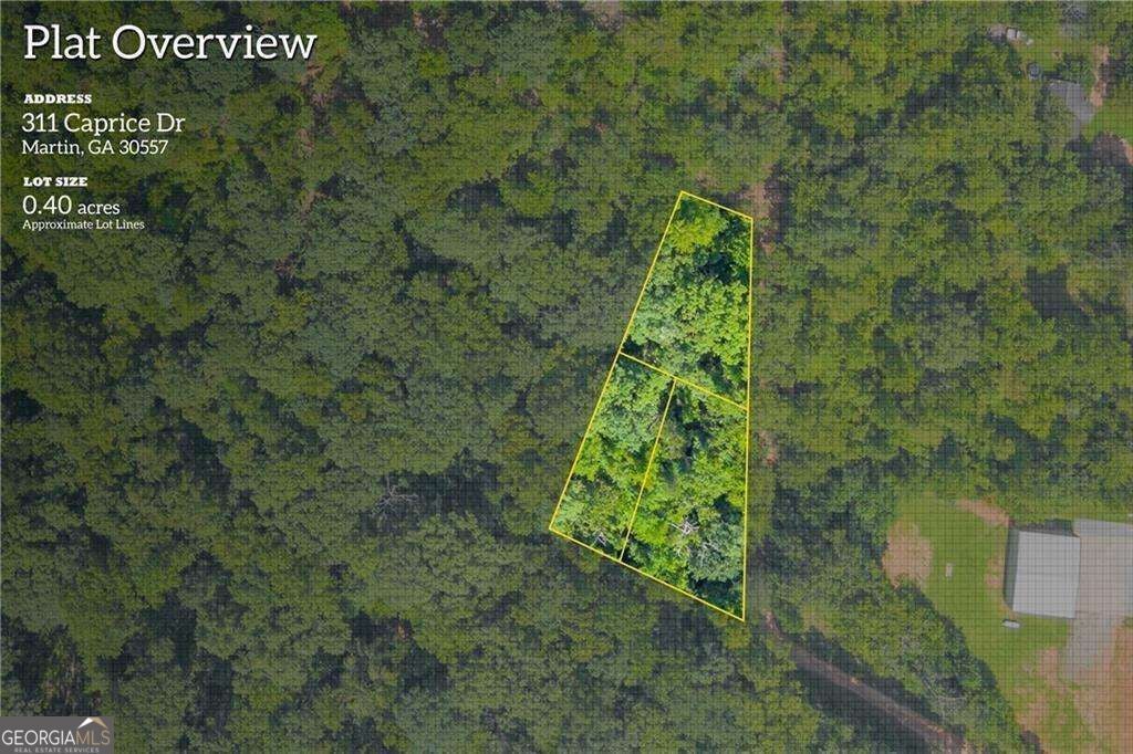 Photo of 311 Caprice Drive, Martin, GA 30557 (MLS # 10847371)