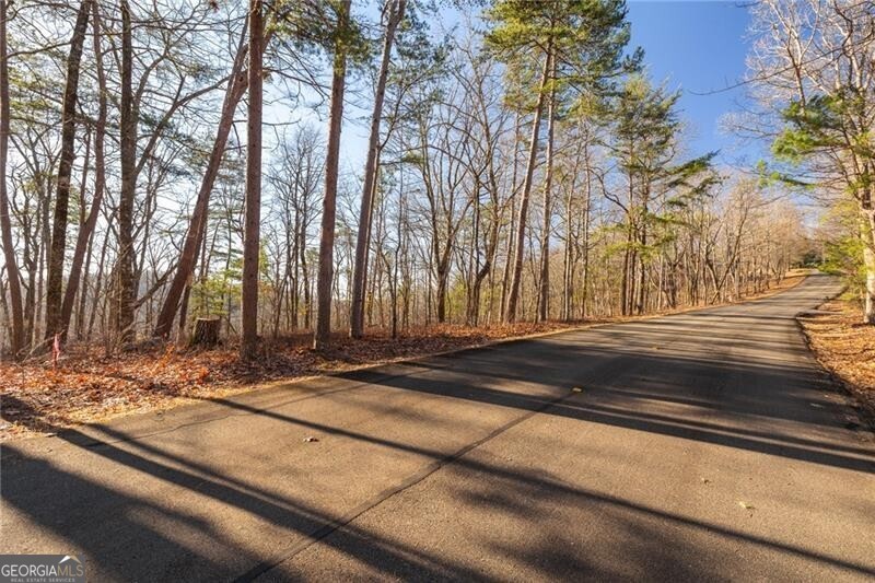 Jasper, Georgia 30143, United States, ,Land,Active,6976