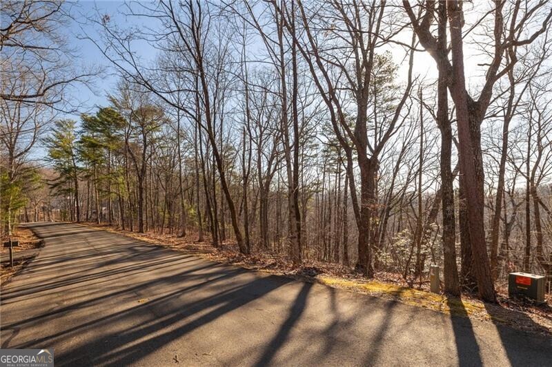 Jasper, Georgia 30143, United States, ,Land,Active,6976