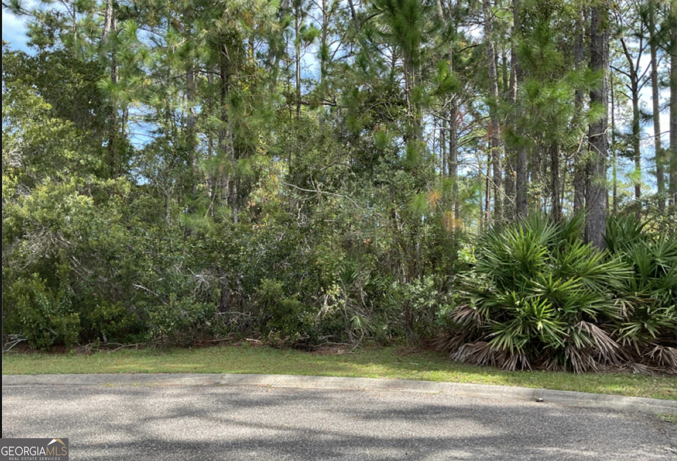 Picture for the property 10768006, 0 beds, 0 baths