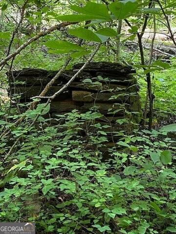 00 Seven Springs