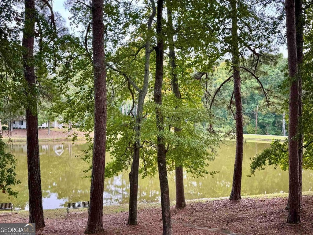 Photo of 1100 Phelps Road, Greensboro, GA 30642 (MLS # 10871431)