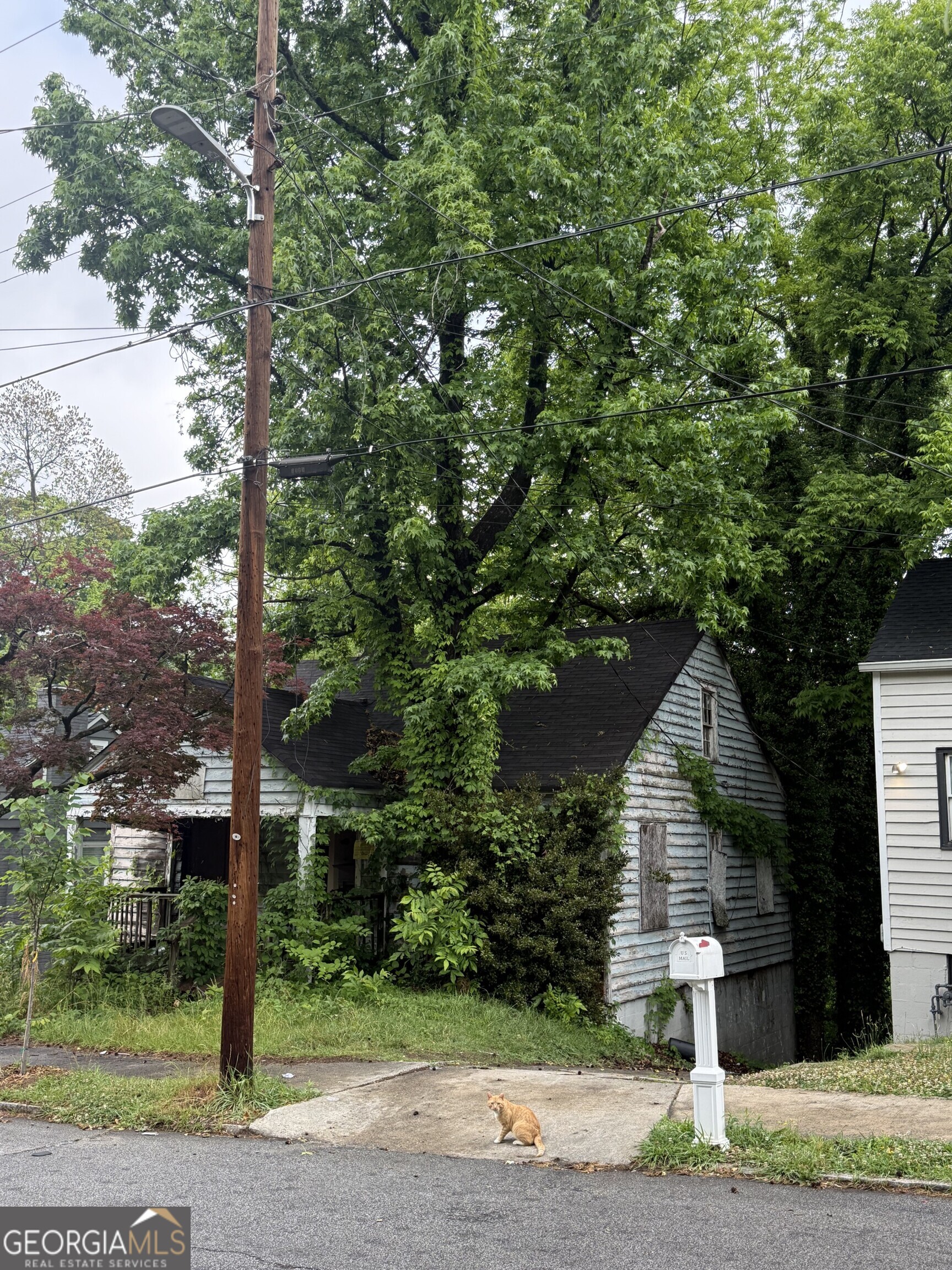 1025 Washington Heights TER NW