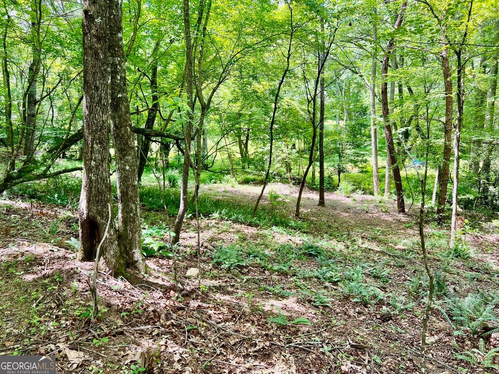 Photo of 3 Lower Fox Trail, Blairsville, GA 30512 (MLS # 10760928)