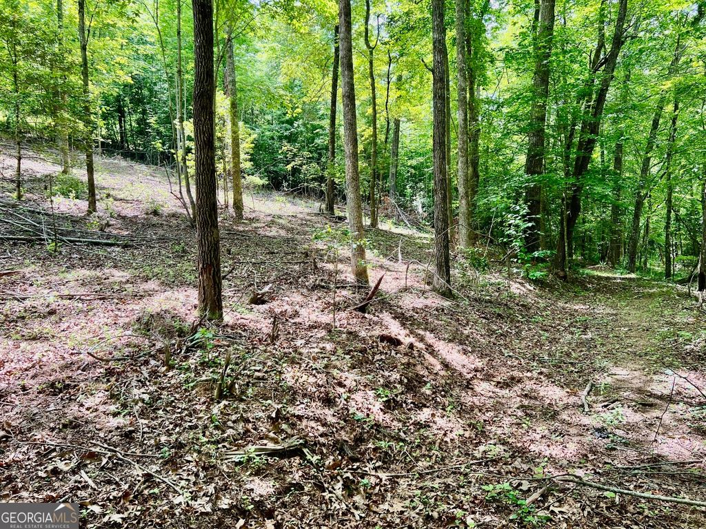 Photo of 3 Lower Fox Trail, Blairsville, GA 30512 (MLS # 10760928)