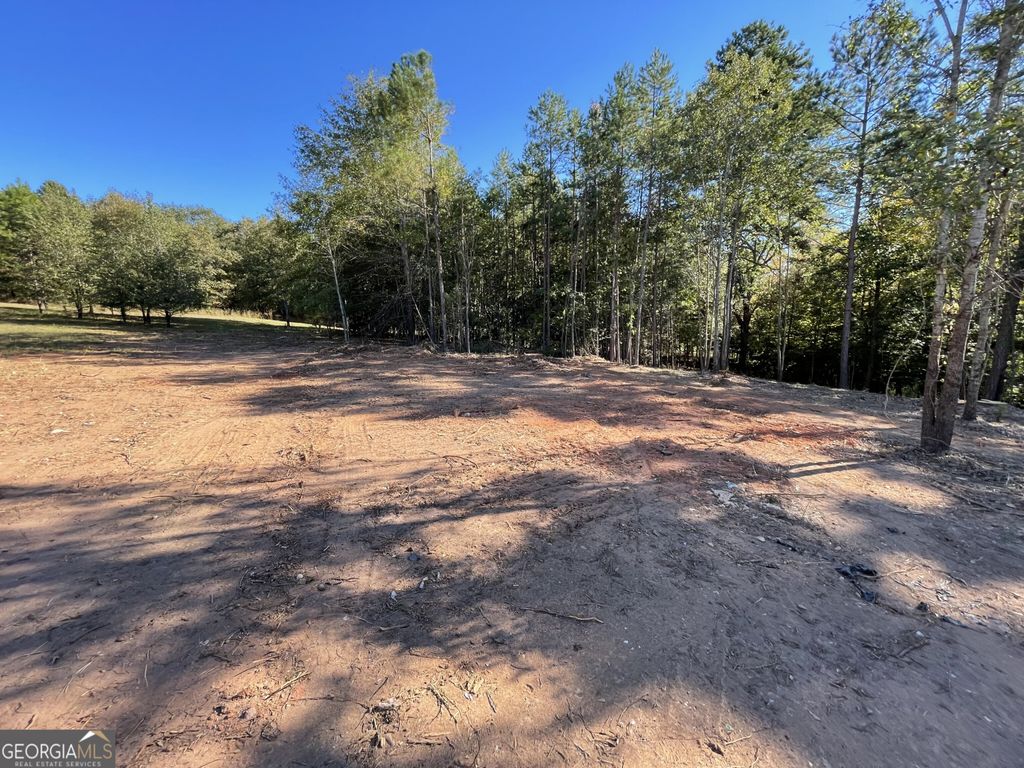 Photo of 1072 Ford Road, Jefferson, GA 30549 (MLS # 10714712)