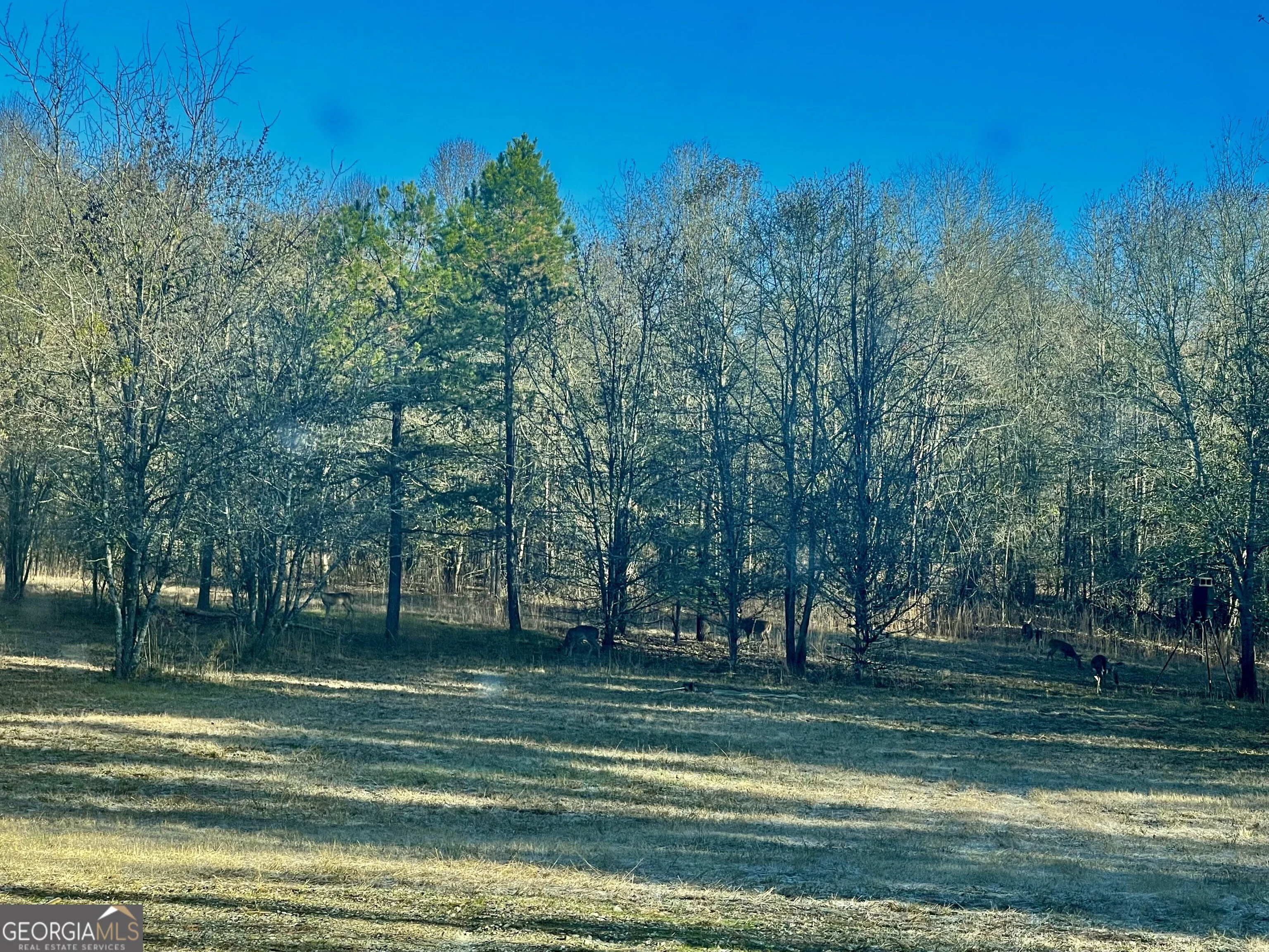 1072 Ford Road
