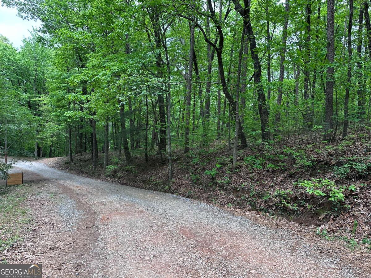 Almost 21 acres with no HOA and unrestricted living with lots of privacy depending on where you build! Zoned agriculture you can use this land for so many purposes like hunting, farming, camping, running ATVs, or building any type of home that city and county ordinances allow. Located near the end of a road and just past rolling pastures you'll find 2 tracts (TR 1 & TR 3) that have been combined into 1 parcel. At the road you'll find TR 3 on the left, and TR 1 on the right - they are separated by a driveway easement so it is easy to find. TR 1 is triangular in shape and slopes gently upward to a rolling slope, has a walkable grade with wonderful building sites of your choosing. TR 3 is where all the fun is! Think of it in 3 sections: the front section is rolling terrain, the middle is a seasonal creek running down the center with the path at the side, and the large back section where you'll cross the creek and walk uphill. At the road front look for another easement driveway near the left boundary on the front portion. Looking from Flat Branch Trl roadside you'll find a wide path in the middle of the parcel that will take you on a walk almost all the way to the back of this long parcel. There are several building sites on this tract. You'll see an old mobile home on the survey that is no longer there which is a nice area. If you're looking for ultimate privacy you can build way to the back Southern-most portion which rises up a hill and may possible produce some amazing mountain views and very few homes nearby. Paved road most of the way. In the photos you'll find the survey, and some marked up satellite images to help you find approximate location of landmarks. Take a copy of the survey and landmark images you'll find in the photos. A compass helps too.