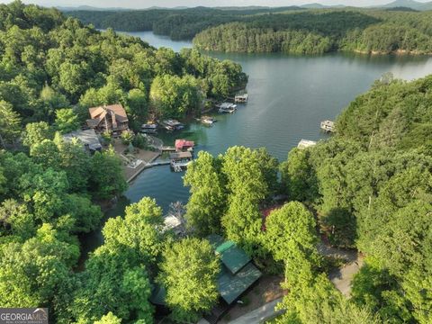 1820 Shady Falls RD Blue Ridge GA 30513