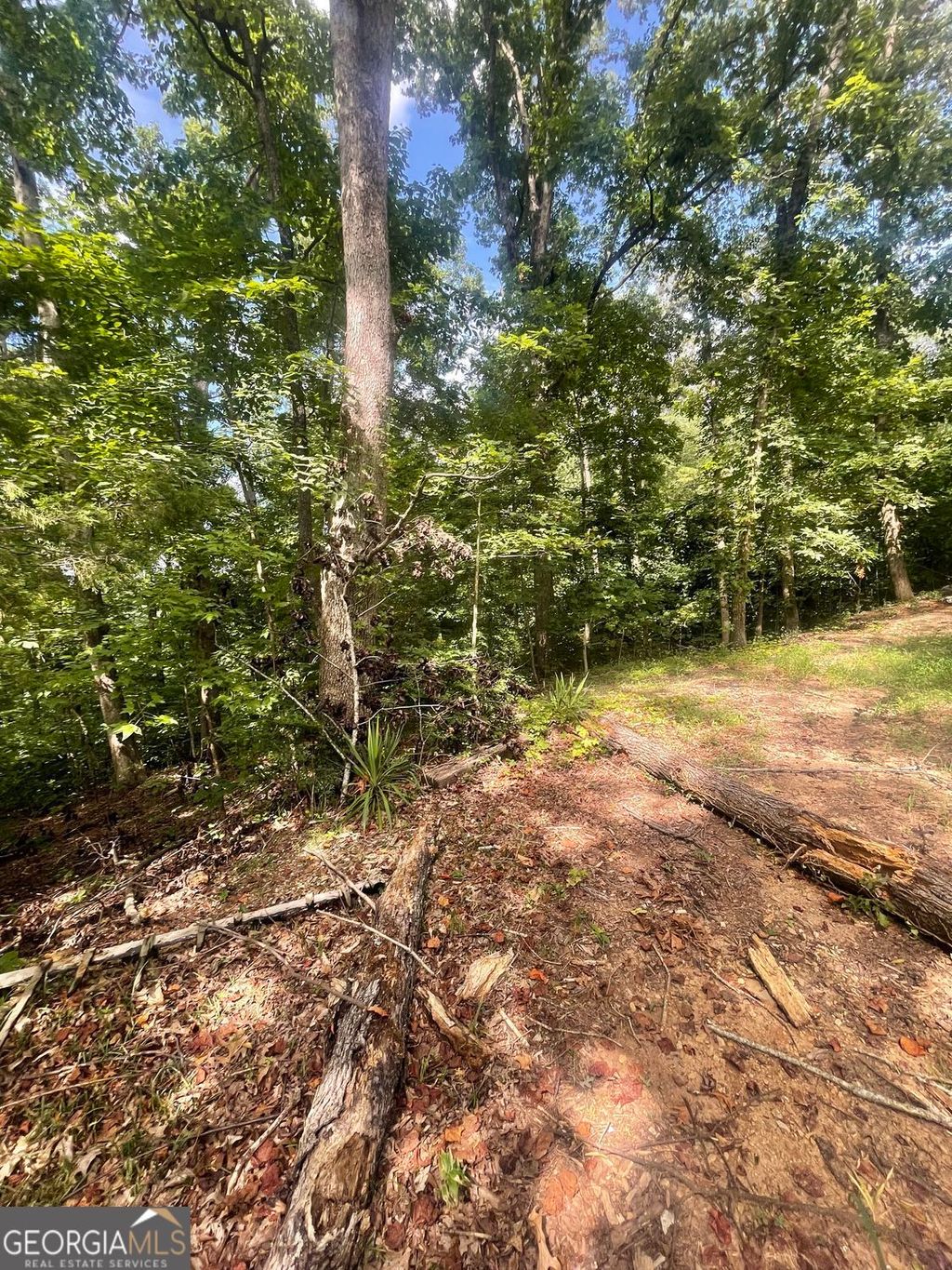 Photo of 0 Blue Jay Place, Toccoa, GA 30577 (MLS # 10670861)