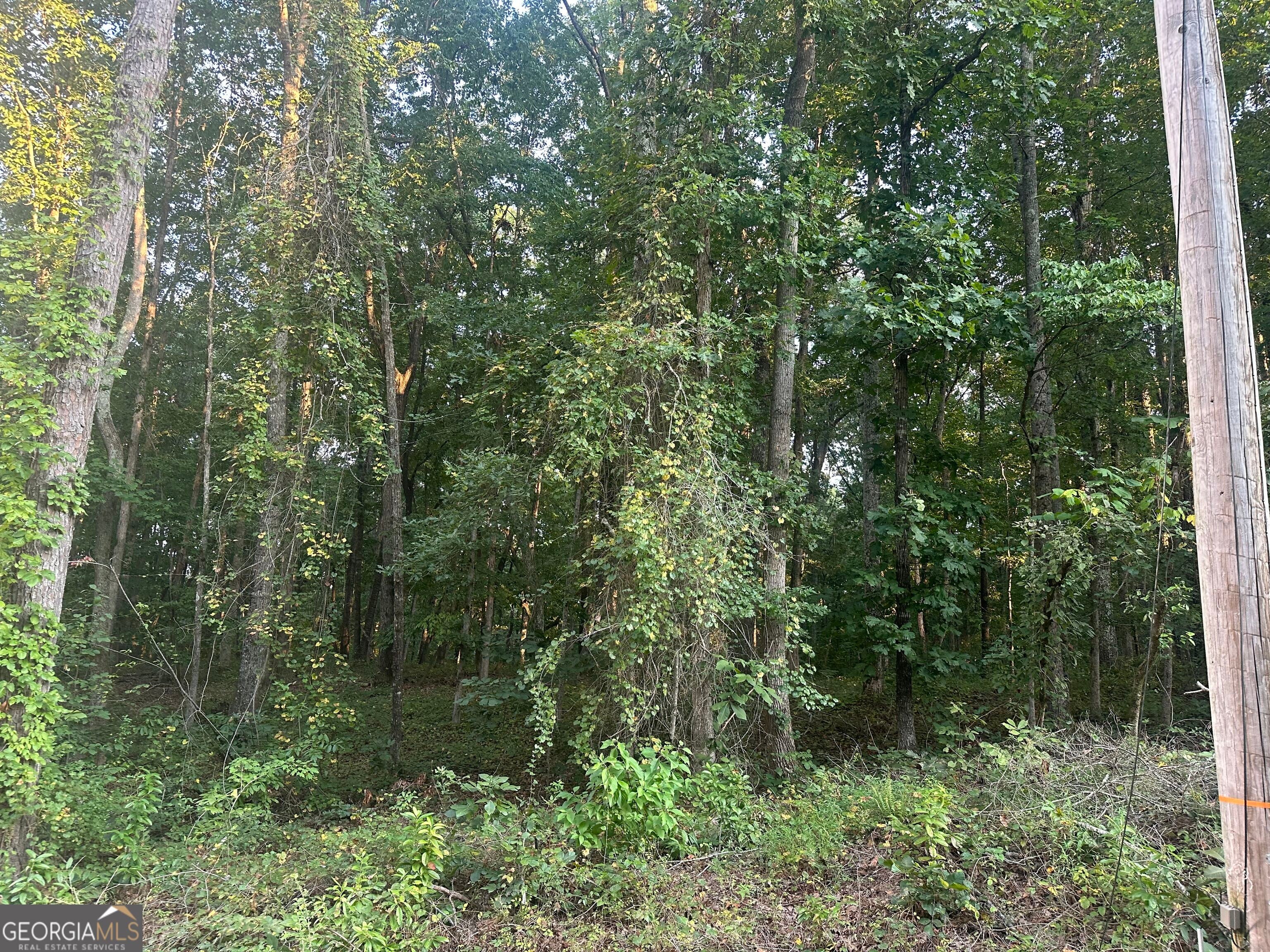 19.46 ACRES Tommy Lee Cook RD