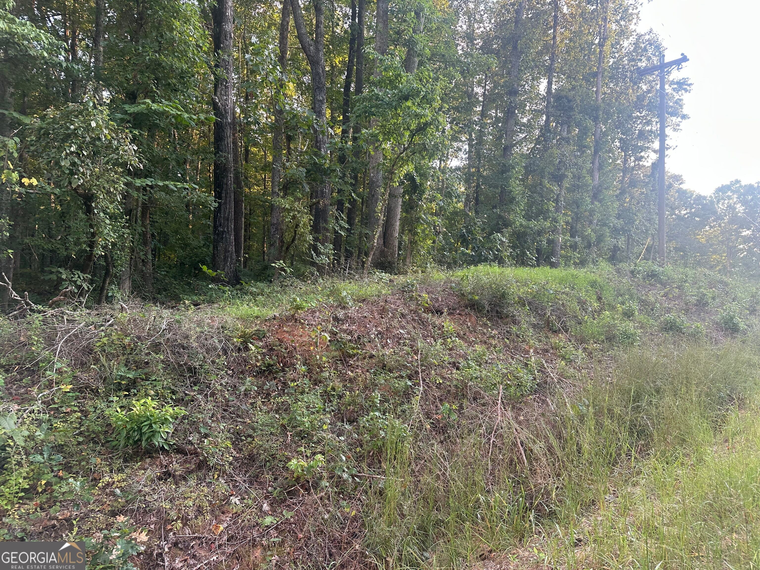19.46 ACRES Tommy Lee Cook RD