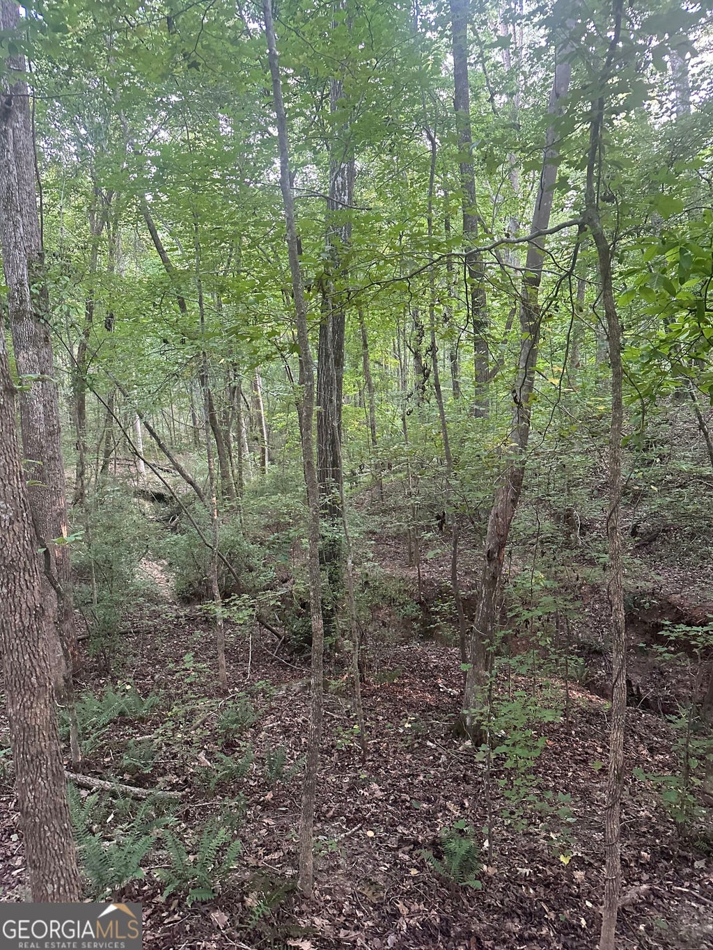 Photo of 1946 Tommy Lee Cook Road, Newnan, GA 30263 (MLS # 10846481)
