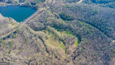 9031 Steve Tate HWY Dawsonville GA 30534