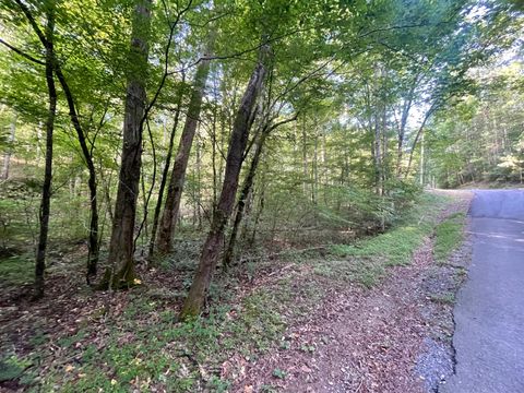 Photo of 730 Nettle Lane, Ranger, GA 30734 (MLS # 10182588)