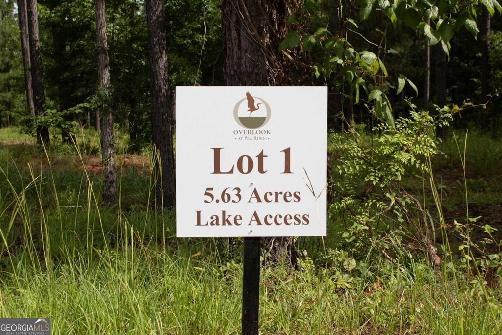 Photo of 100 Overlook Drive, Eatonton, GA 31024 (MLS # 10725397)