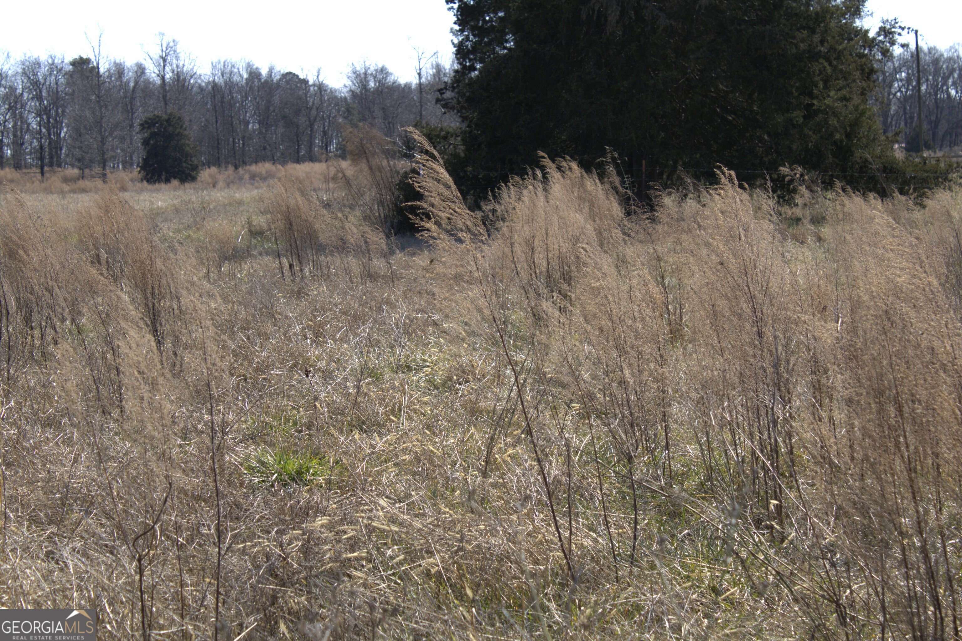 0 Nancy Hart School RD