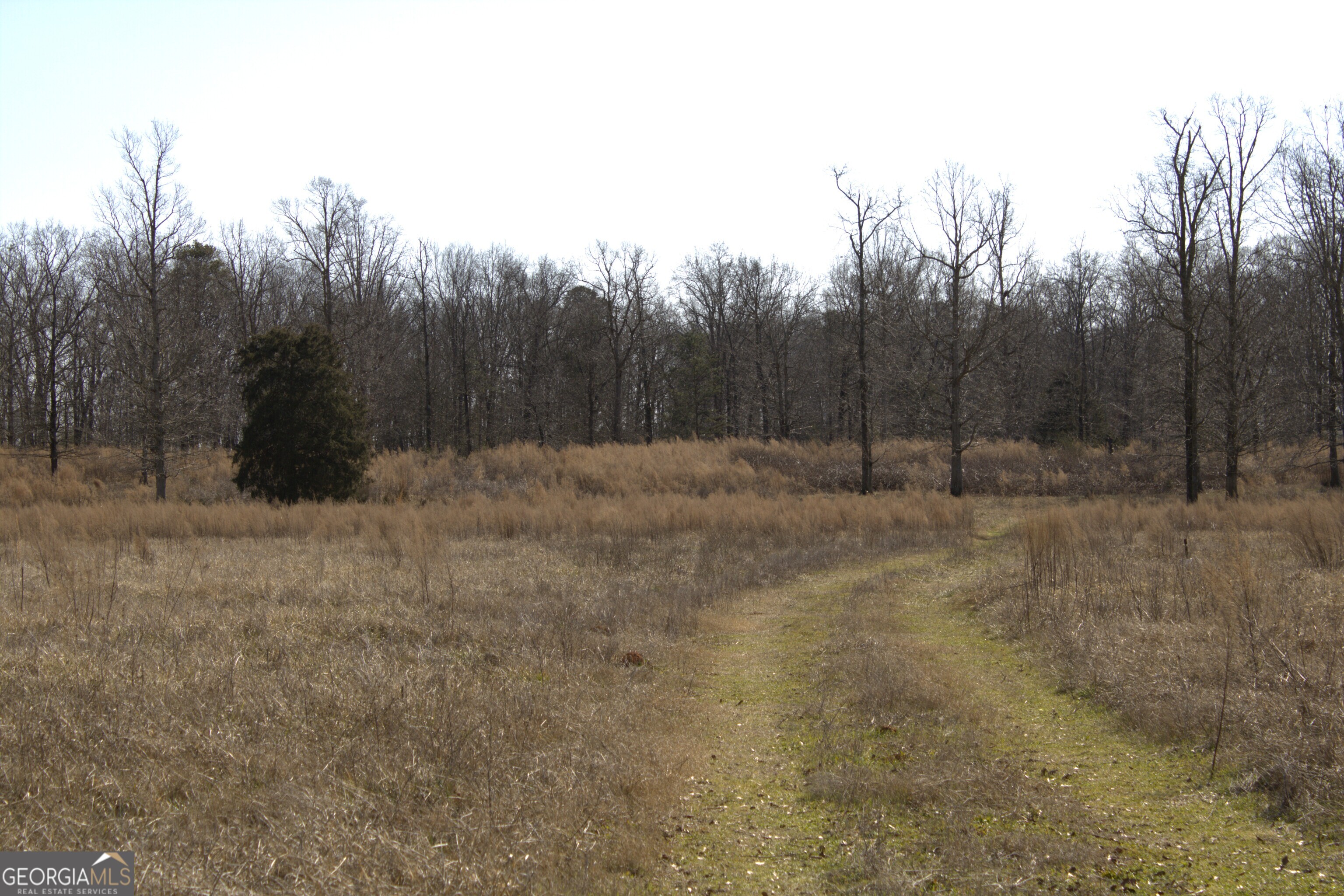 0 Nancy Hart School RD