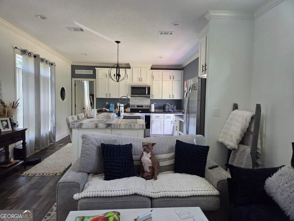 Photo of 147 McIntyre Road, Mount Vernon, GA 30445 (MLS # 10823954)