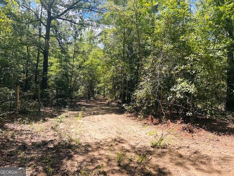0 Moores Chapel RD Mauk GA 31058