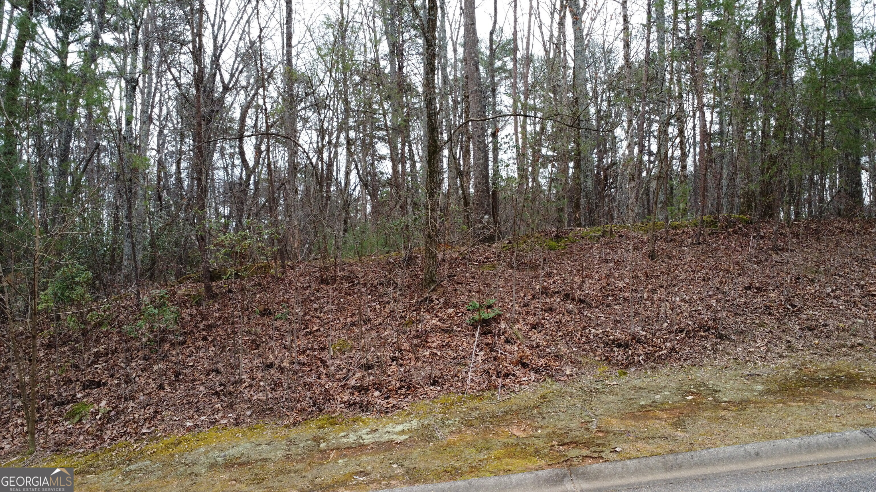 LOT 1446 Glazenwood DR