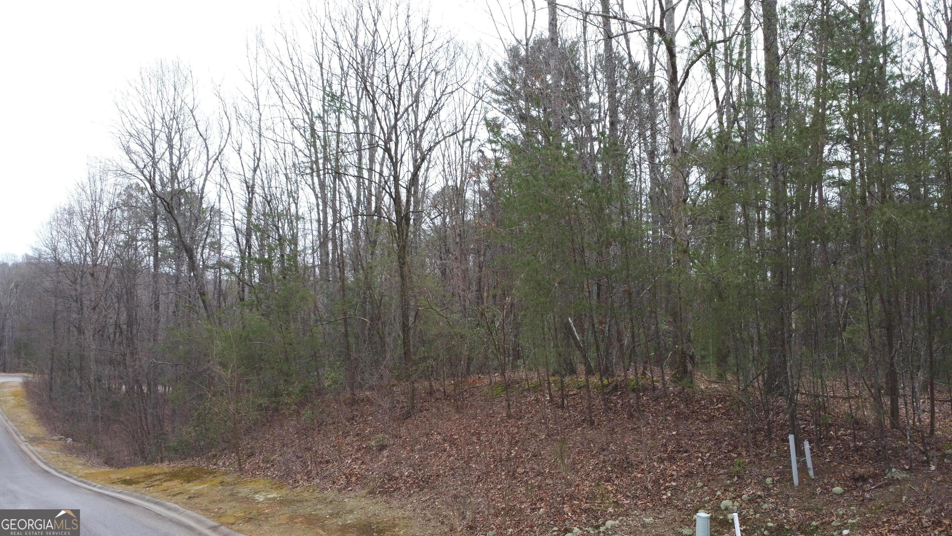 LOT 1446 Glazenwood DR