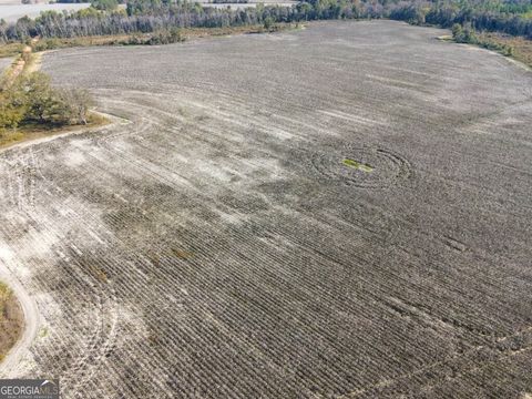 Photo of 0 Bowen Hill Road, Garfield, GA 30425 (MLS # 10635427)