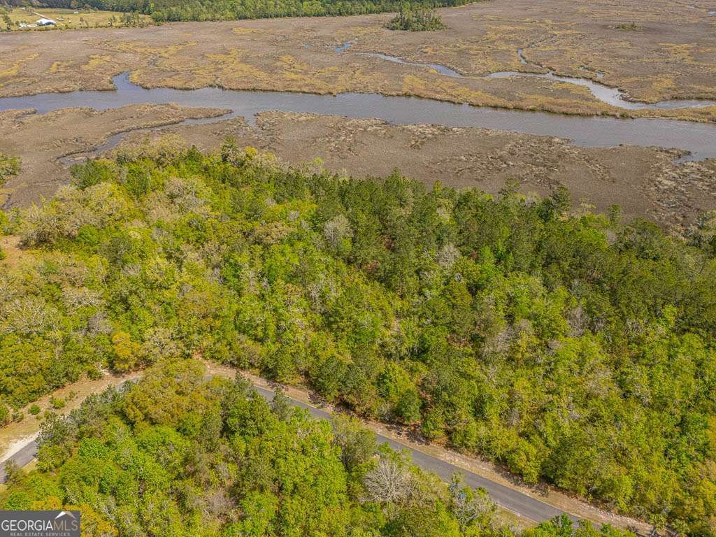 Photo of 46 Waverly Lane, White Oak, GA 31568 (MLS # 10724793)