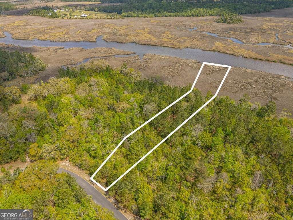 Photo of 46 Waverly Lane, White Oak, GA 31568 (MLS # 10724793)