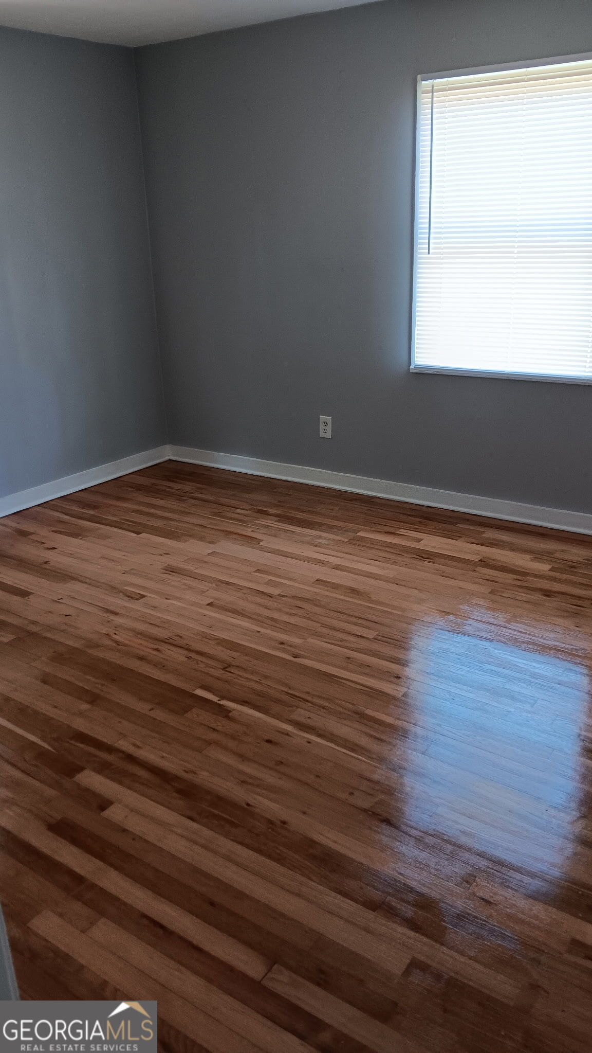 217 Camellia CIR