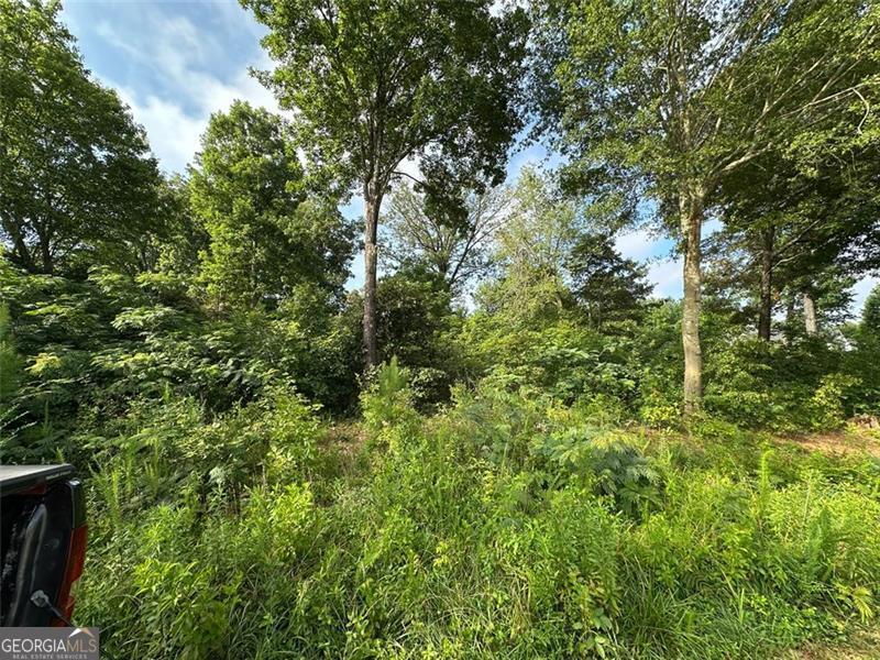 5049 CLARKS BRIDGE