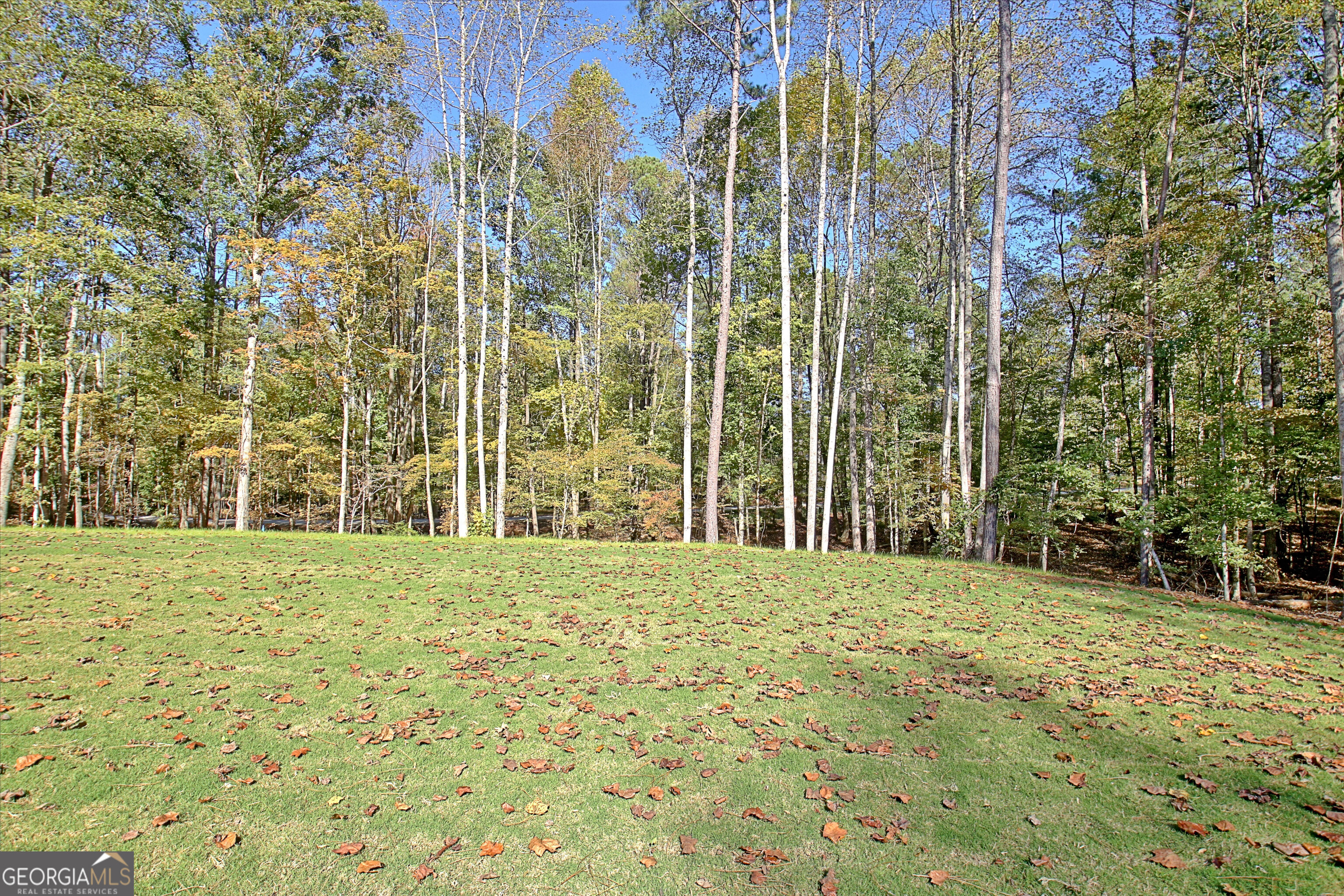 Moreland, Georgia 30259, United States, 4 Bedrooms Bedrooms, ,4 BathroomsBathrooms,Residential,Pending,78377